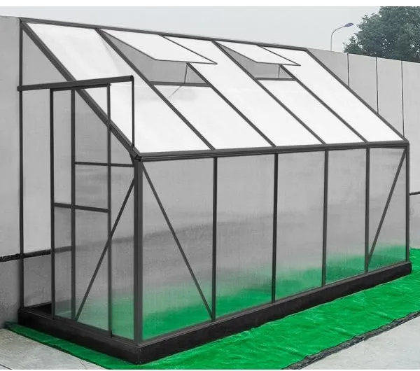 Växthus mot vägg poly svart 132x313x227cm